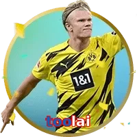 toolai