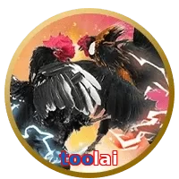 toolai