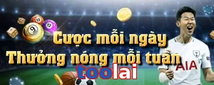 toolai